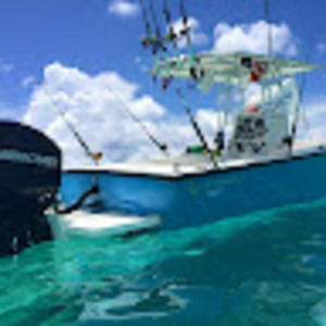 Meet your Posher, Jamey